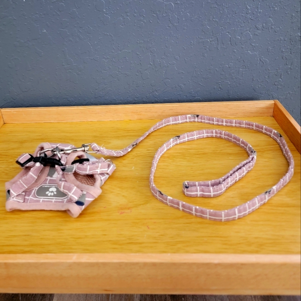 Kitten Step In Adjustable Vest Harness and Leash Set